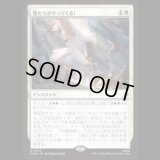 鷲たちがやってくる！/The Eagles Are Coming!  [HOB]