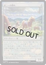 ポニーの群れ/Troop of Ponies  [HOB]