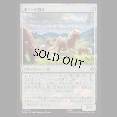 画像1: ポニーの群れ/Troop of Ponies  [HOB]
