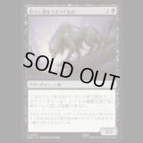 荒らし場をうろつくもの/Desolation Prowler [HOB]