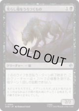 荒らし場をうろつくもの/Desolation Prowler [HOB]