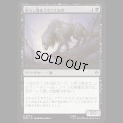 画像1: 荒らし場をうろつくもの/Desolation Prowler [HOB]
