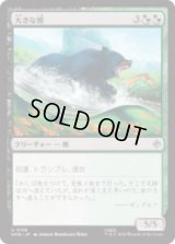 大きな熊/Large Bear  [HOB]