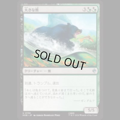 画像1: 大きな熊/Large Bear  [HOB]
