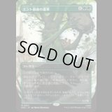 エント最後の進軍/Last March of the Ents  [HOC]
