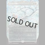 白の木に花開く/Flowering of the White Tree [HOC]