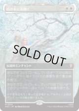 白の木に花開く/Flowering of the White Tree [HOC]