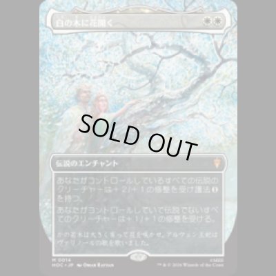 画像1: [FOIL] 白の木に花開く/Flowering of the White Tree [HOC]