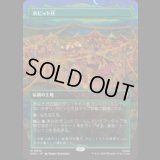 ホビット庄/The Shire [HOC]