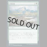 移動経路/Migration Path [IKO]