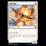 戦場の猛禽/Battlefield Raptor [KHM]
