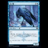 占い鴉/Augury Raven [KHM]