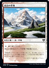 高山の草地/Alpine Meadow [KHM]