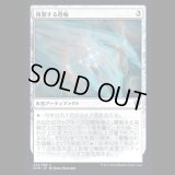 複製する指輪/Replicating Ring [KHM]