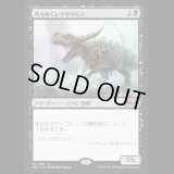 [FOIL] 朽ちゆくレギサウルス/Rotting Regisaur [M20]