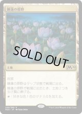 [FOIL] 睡蓮の原野/Lotus Field [M20]