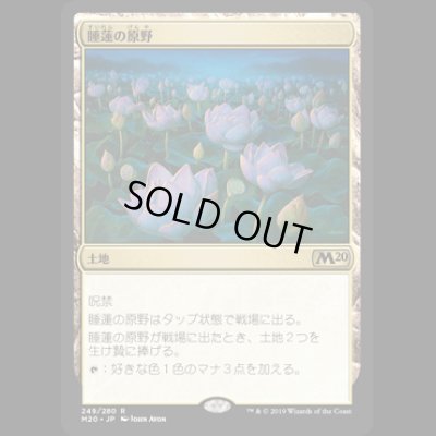 画像1: [FOIL] 睡蓮の原野/Lotus Field [M20]