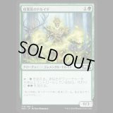 枝葉族のドルイド/Leafkin Druid [M20]