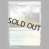 花咲く砂地/Blossoming Sands [M20]