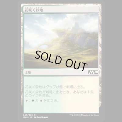 画像1: 花咲く砂地/Blossoming Sands [M20]