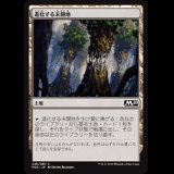 進化する未開地/Evolving Wilds [M20]