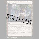 進化する未開地/Evolving Wilds [M20]
