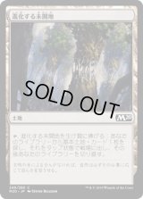 進化する未開地/Evolving Wilds [M20]