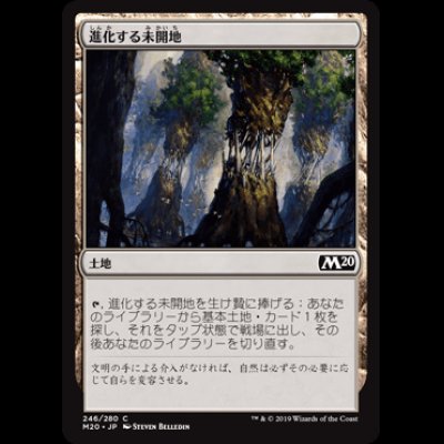 画像1: 進化する未開地/Evolving Wilds [M20]