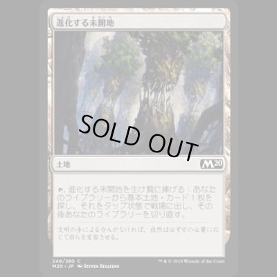 画像1: 進化する未開地/Evolving Wilds [M20]