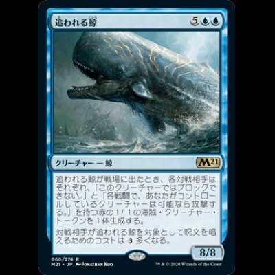 画像1: 追われる鯨/Pursued Whale [M21]