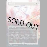 [ショーケース] 灯の破裂/Spark Rupture [MAT]
