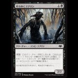 朽ちゆくゴブリン/Putrid Goblin [MH1]