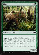 母熊/Mother Bear [MH1]