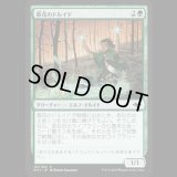 春花のドルイド/Springbloom Druid [MH1]
