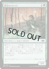 春花のドルイド/Springbloom Druid [MH1]