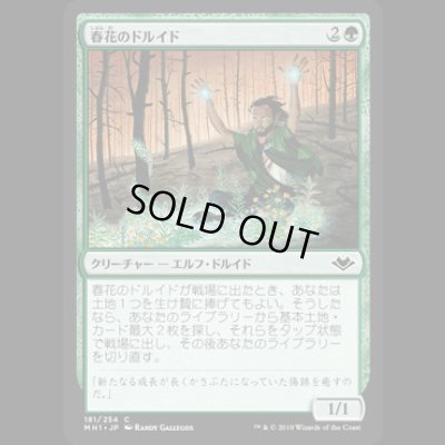 画像1: 春花のドルイド/Springbloom Druid [MH1]