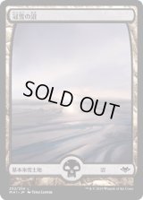 [FOIL] 冠雪の沼/Snow-Covered Swamp [MH1]