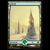 [FOIL] 冠雪の森/Snow-Covered Forest [MH1]