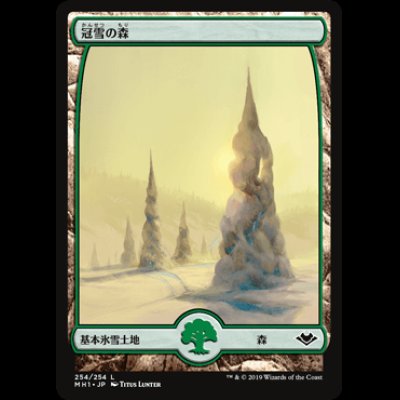 画像1: [FOIL] 冠雪の森/Snow-Covered Forest [MH1]