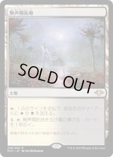 [FOIL] 無声開拓地/Silent Clearing [MH1]