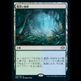 霧深い雨林/Misty Rainforest [MH2]