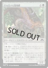 日を浴びる繁殖鱗/Basking Broodscale [MH3]