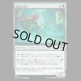進化の証人/Evolution Witness [MH3]