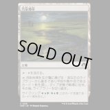 汚染地帯/Contaminated Landscape [MH3]