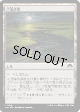 汚染地帯/Contaminated Landscape [MH3]