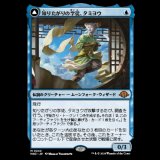 知りたがりの学徒、タミヨウ/Tamiyo, Inquisitive Student [MH3]