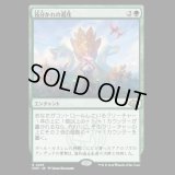 枝分かれの進化/Branching Evolution [MH3]