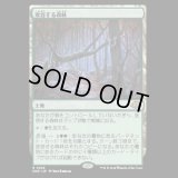 変容する森林/Shifting Woodland [MH3]