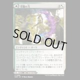収穫の力/Strength of the Harvest [MH3]
