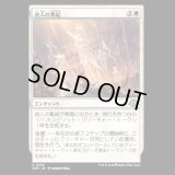 故人の集結/Muster the Departed [MH3]
